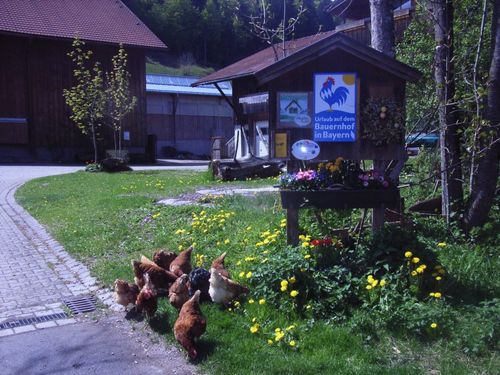 Hofschild Frühjahr Hofschild Frühjahr