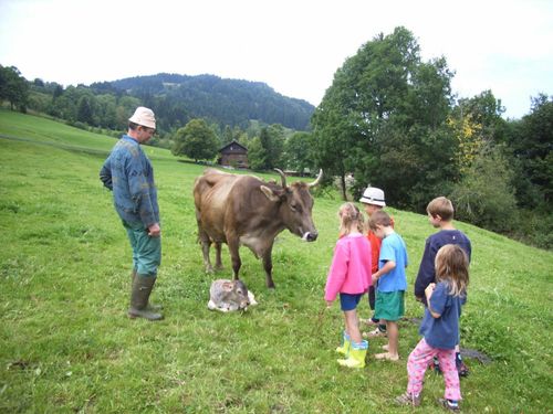 glückliche Kuh mit Kalb glückliche Kuh mit Kalb