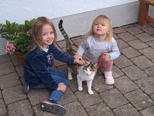Tiere zum Anfassen