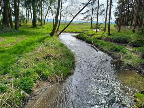 natur.erleben natur.erleben