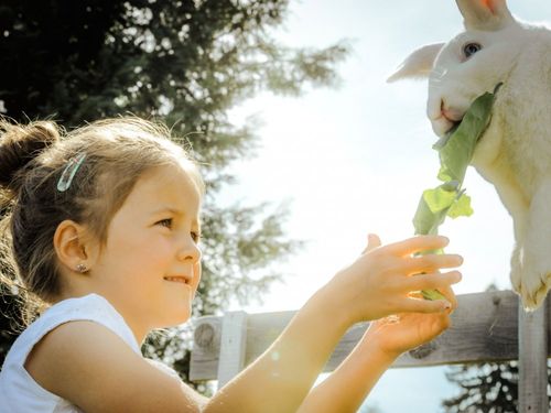 Hase mit Vreni
