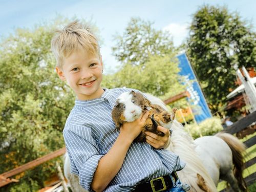Meerschweinchen mit Severin