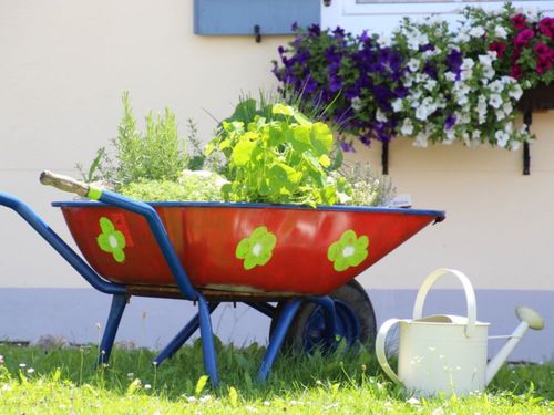 Kräuterwagen Kräuterwagen