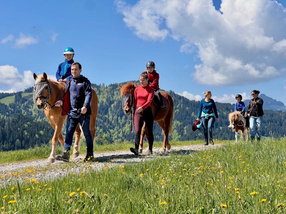Reiten mit Ausblick Reiten mit Ausblick
