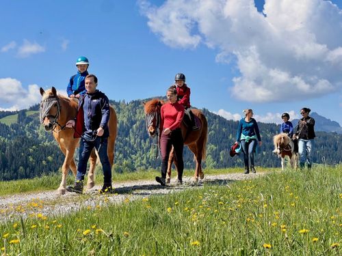 Reiten mit Ausblick Reiten mit Ausblick