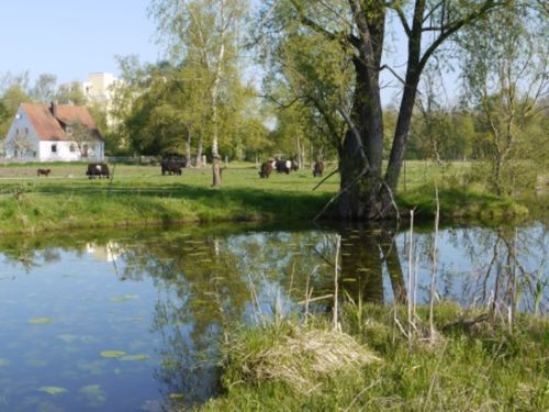 Weiher mit Haus Resi Weiher mit Haus Resi