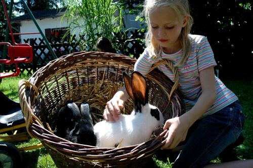 Bei uns werden Ihre Kinder schnell zu Katzen- und Hasenmamas Bei uns werden Ihre Kinder schnell zu Katzen- und Hasenmamas