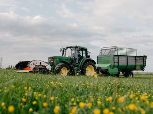 frisches Gras für die Kühe mähen