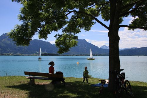 Am Forggensee Am Forggensee