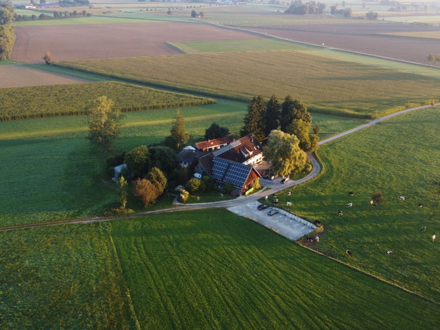 Hertlehof Hof Bild HD Hertlehof Hof Bild HD