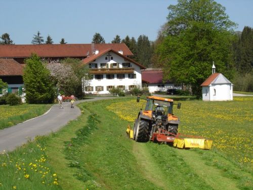 Helfenwangerhof mit Traktor