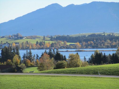 Blick auf den Hopfensee von unserem HÃ¼gel