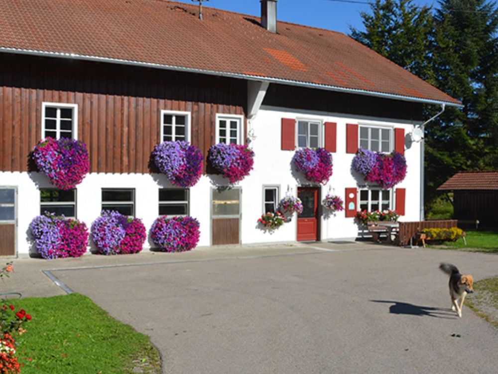 ferienhofoberhoferweitnau ferienhofoberhoferweitnau