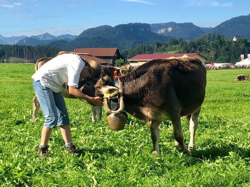 Liebevolle Begrüßung bei den Stiefels Liebevolle Begrüßung bei den Stiefels