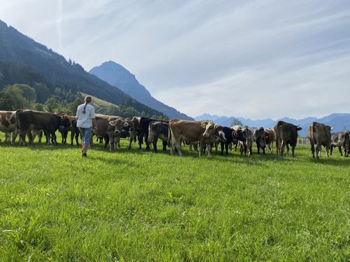 Urlaubshighlight Viehscheid Mitte September Urlaubshighlight Viehscheid Mitte September