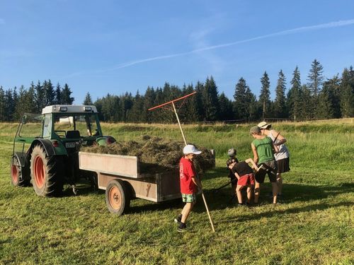 Mitanpacken entschleunigt im Nu! Mitanpacken entschleunigt im Nu!