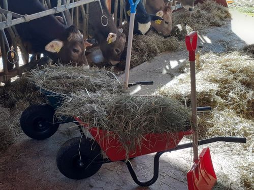 Schubkarren für die kleinen fleißigen Helfer!