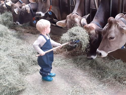 kleine Helfer mit großem Einsatz