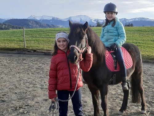 Reitspaß auf dem Pony Henry