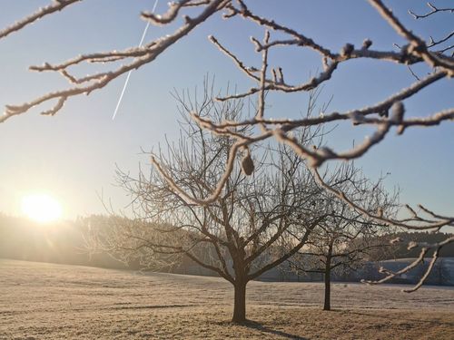 Winterzauber im Obstgarten Winterzauber im Obstgarten