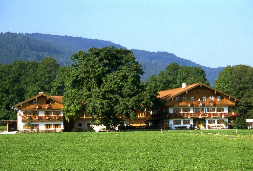 Hofbild im Sommer Hofbild im Sommer