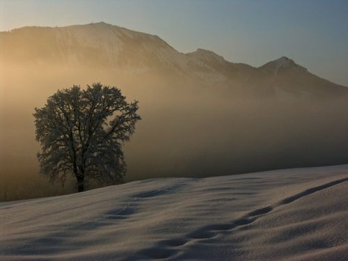 Blick zur Hochries