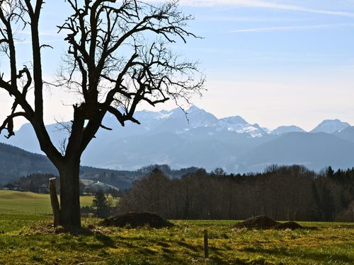 Blick zum Wendelstein