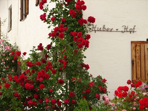 Willkommen auf dem Huberhof
