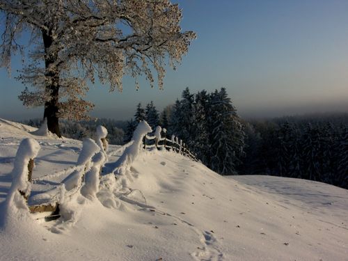 Winteridylle