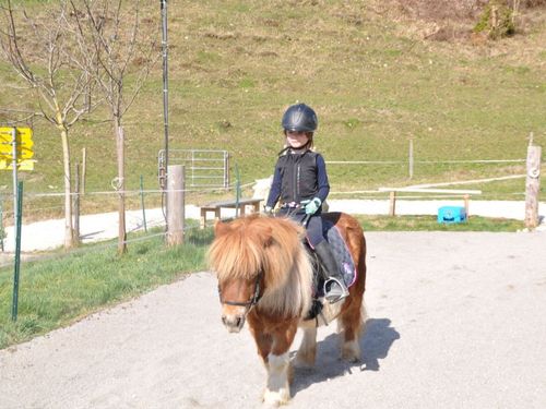 Ponyreiten Ponyreiten