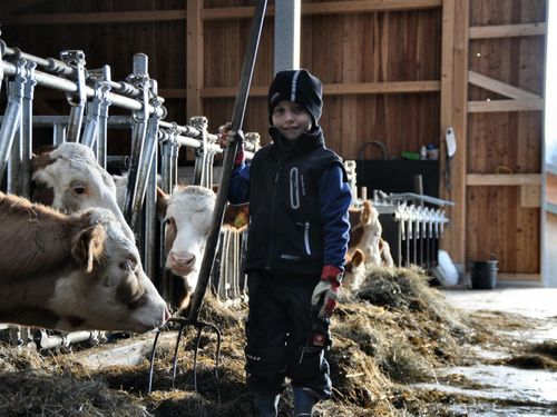 Stallzeit Stallzeit
