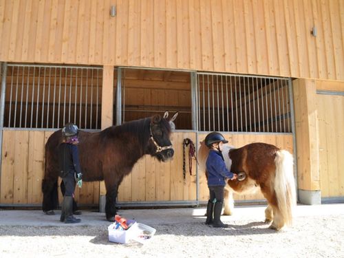 Pony s putzen Pony s putzen