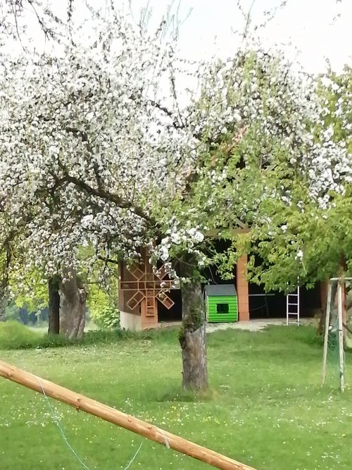 Garten Garten