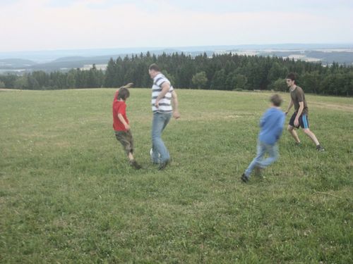 Wald und Wiese Wald und Wiese