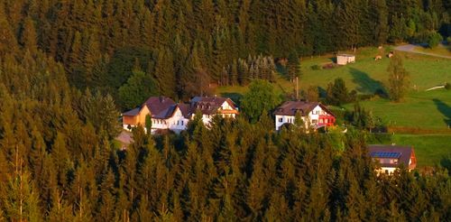Unser Hof... leider jetzt mit weniger Wald Unser Hof... leider jetzt mit weniger Wald