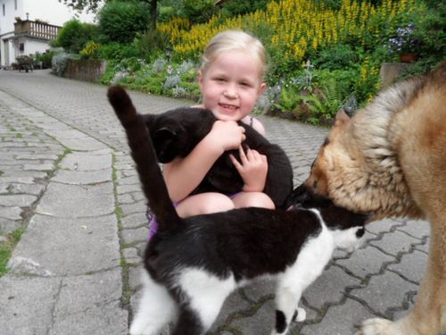 Hund und Katz Hund und Katz