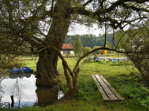 Romatischer Lagerfeuerplatz am Bach Romatischer Lagerfeuerplatz am Bach