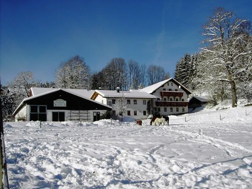 Winteridylle Winteridylle