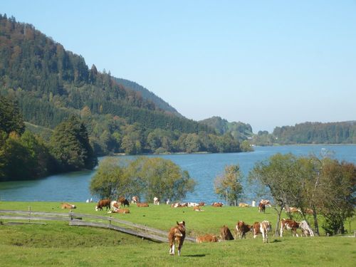 "Weideglück" "Weideglück"