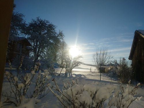 dsc_0266 dsc_0266
