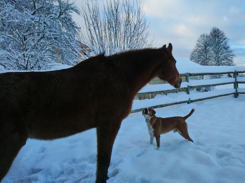dsc_0209 dsc_0209