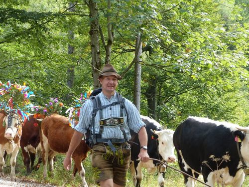 almabtrieb2018 almabtrieb2018