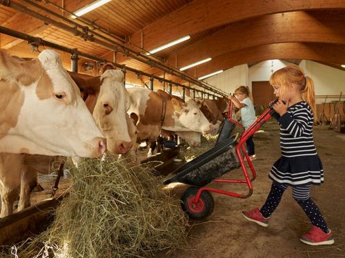 Stallarbeit