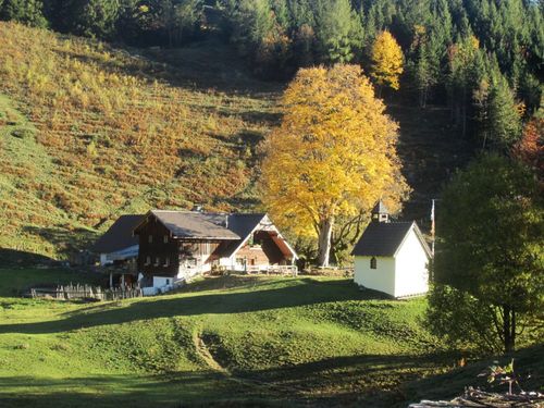 Steiner Alm