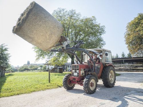 bulldogfahren-ist-schoen