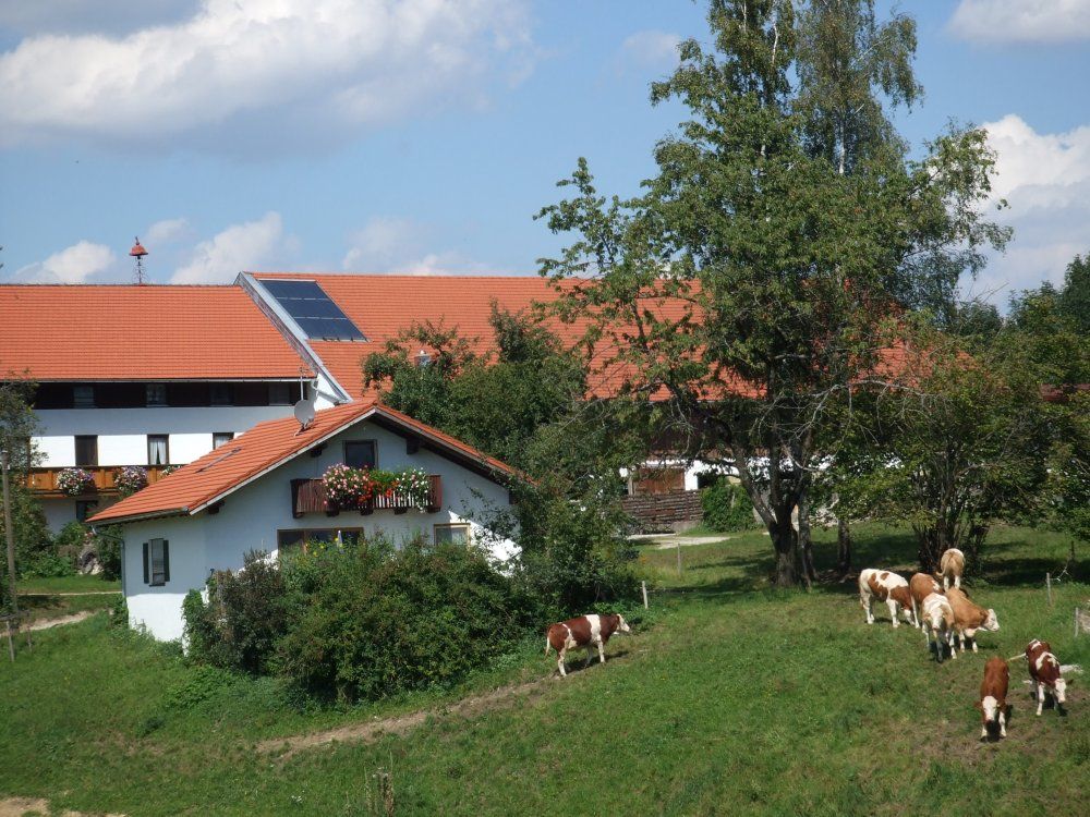 bild224 bild224