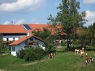 bild224 bild224