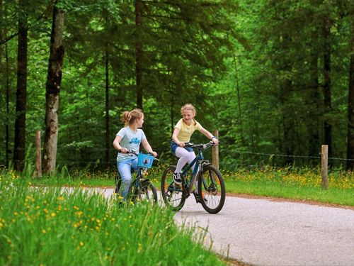 msb_2022_05_21_wiesenhaeusl_biken_07 msb_2022_05_21_wiesenhaeusl_biken_07