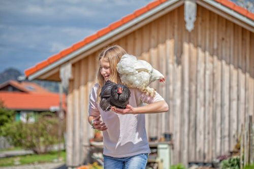 Anna und die Hühner