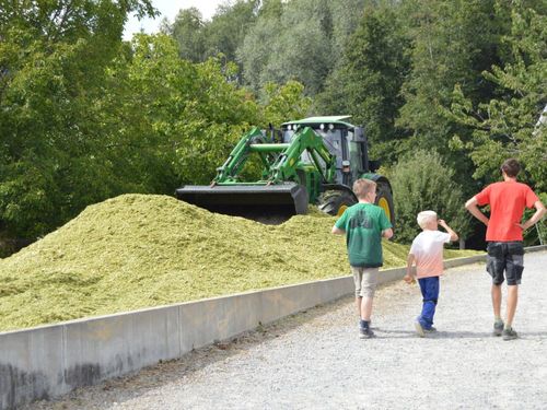Bei der Maisernte Bei der Maisernte